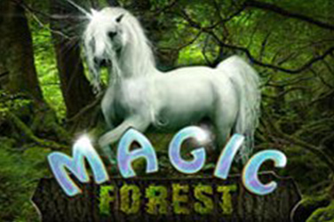 magic forest(1)