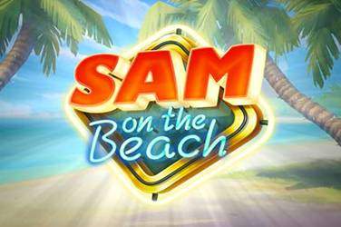 sam on the beach