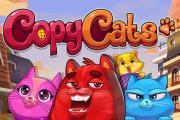 copy cats