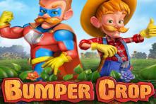bumper crop