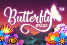 butterfly staxx