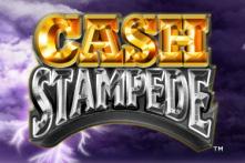 cash stampede