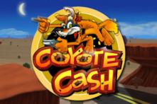 coyote cash