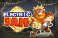electric sam