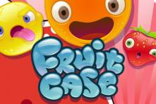 fruit case(1)