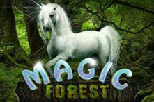 magic forest(1)