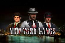 new york gangs