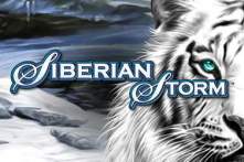 siberian storm