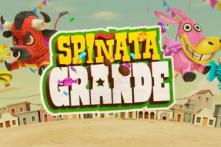 spinata grande(1)