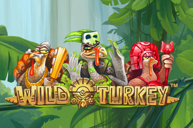 wild turkey