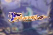 wild witches(1)
