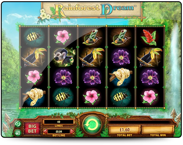 machine a sous rainforest dream Casinos SG Interactive